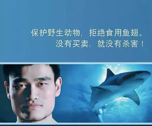 如何看待「野生救援 wildaid」在中国投放号召少吃肉的公益广告?