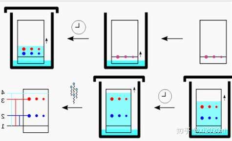 薄层色谱法点样图图片