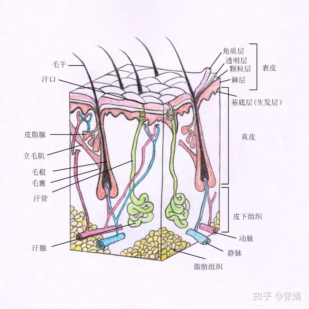 天气干燥到反常的这个秋冬 怎么让皮肤保持滋润 知乎 天气干燥到反常的这个秋冬 怎么让皮肤保持滋润 知乎