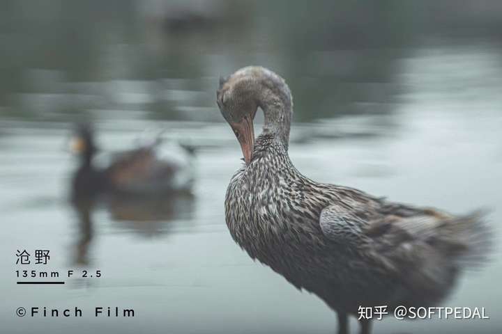 如何评价沧野科技生产的相机镜头与其他配件