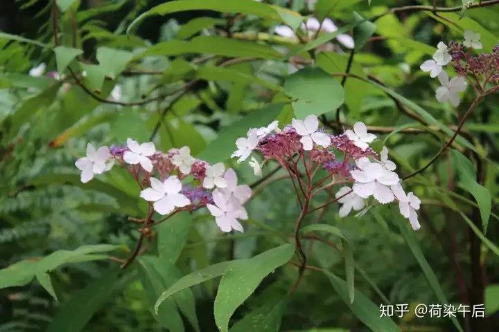 神瀑沟回顾|暑假纳凉耍水好去处