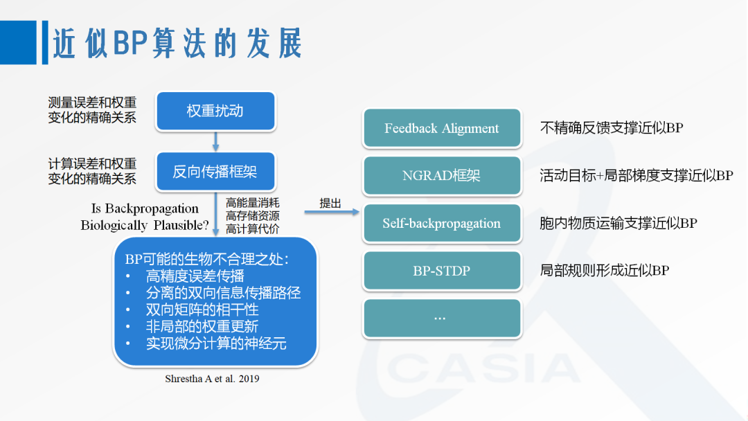 第三代神经网络模型：面向AI应用的脉冲神经网络