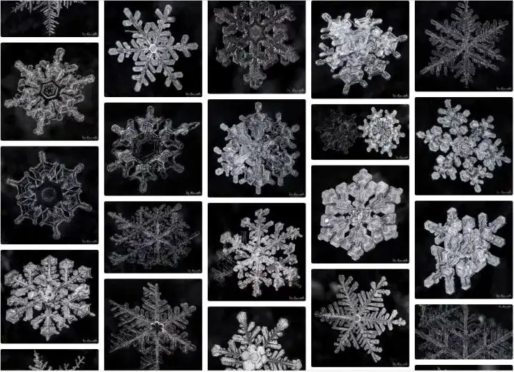 This American claims to have taken the highest-resolution photo of a  snowflake ever 