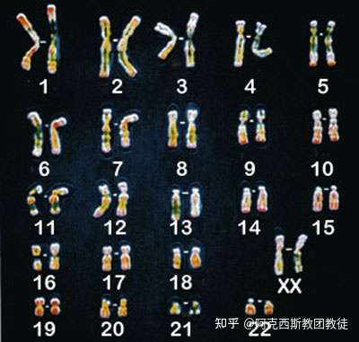 求生物大佬解答!