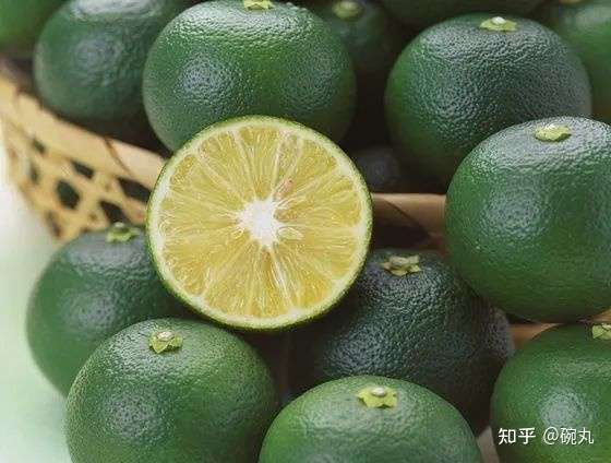 酢橘 我 酸了 知乎