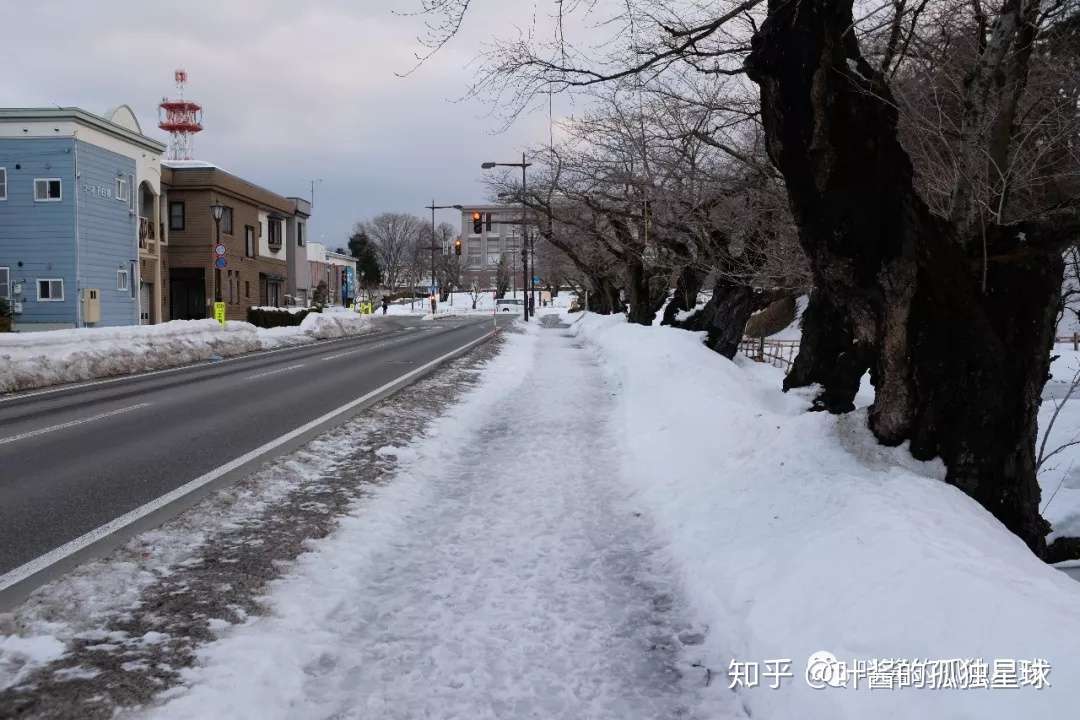 大冬天去青森 吃奇迹苹果还是鲜甜扇贝 知乎