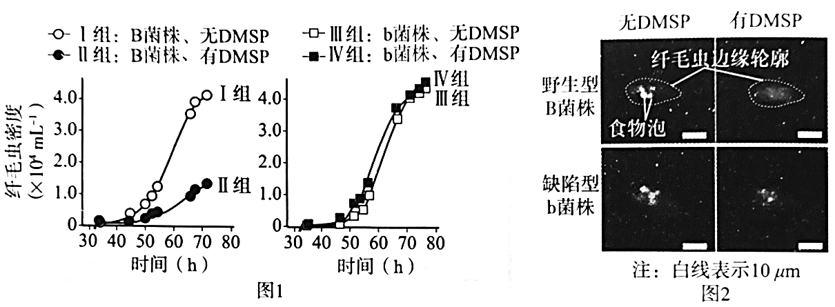 北京市海淀区22届高三生物最新模拟试题 知乎