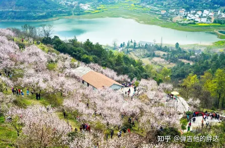 这都可以?(春游应该带什么好吃的)春游带什么去吃好2023已更新 第20张 这都可以?(春游应该带什么好吃的)春游带什么去吃好2023已更新 第20张