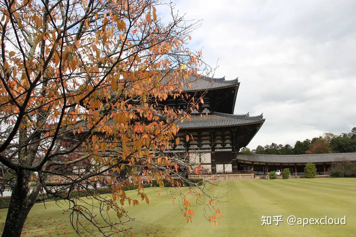 上品な 日本風景8 写真 - www.benjaminlawgroup.com