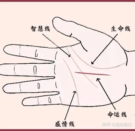 手相上这些变化表示你快转运了!一起来看看 !