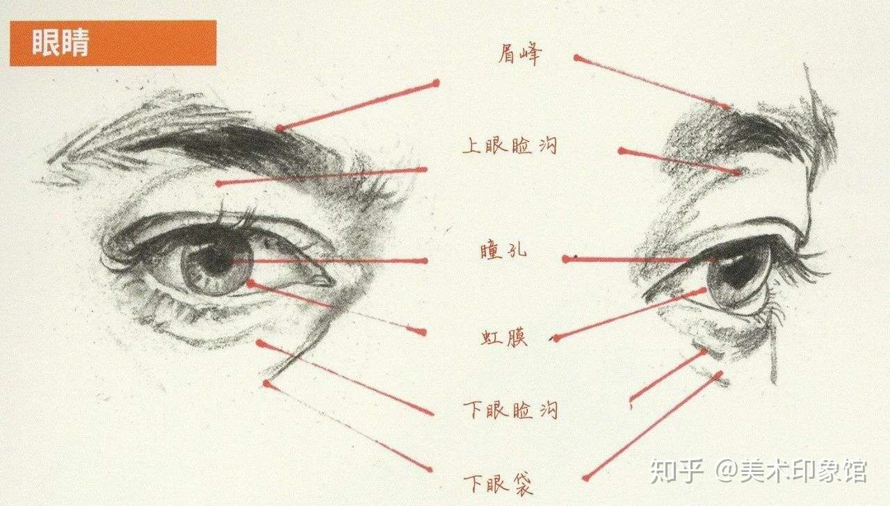 美術印象館 的想法: 速寫側面眼睛的畫法 不會畫的趕緊收藏起