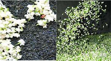 花茶和花果茶傻傻分不清楚 知乎