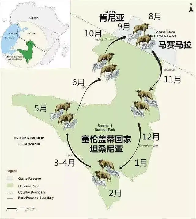 听说，今年第一批前往肯尼亚的游客已经回来了