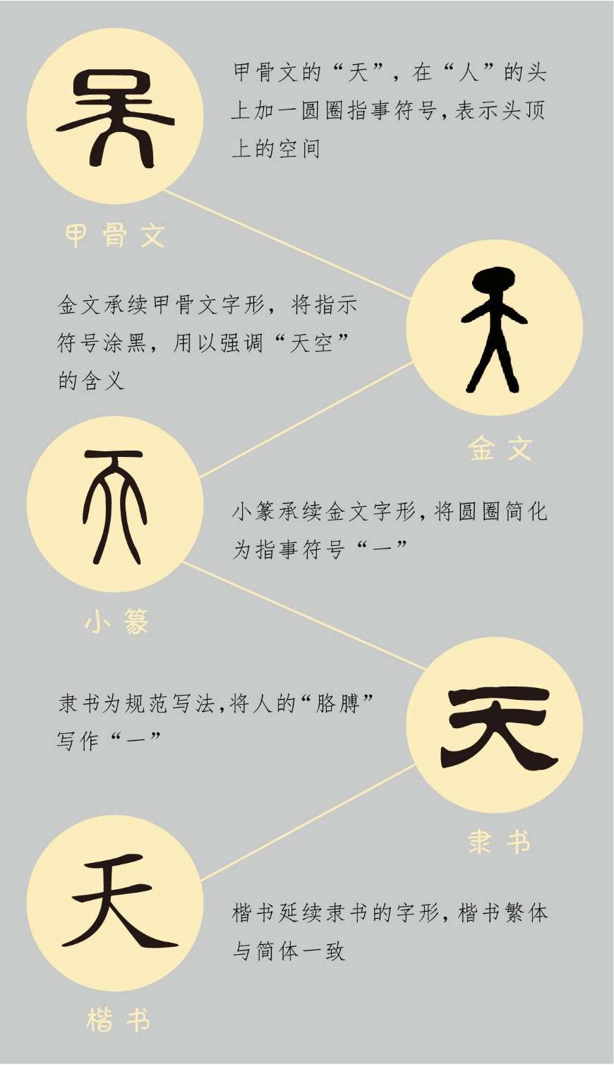 汉字小传丨天地人的 天 知乎