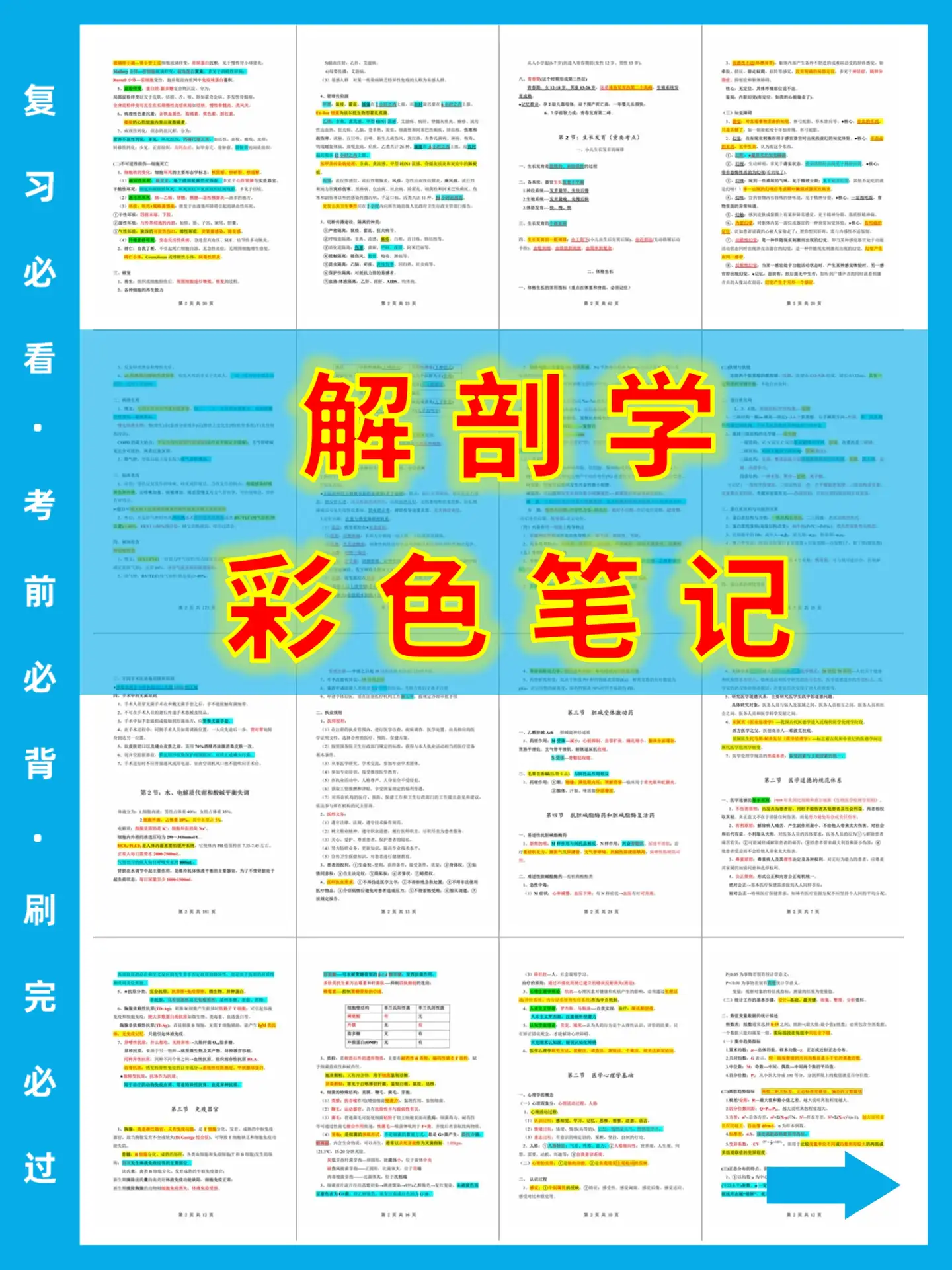 人気の雑貨がズラリ！ 人体系統解剖学 健康/医学