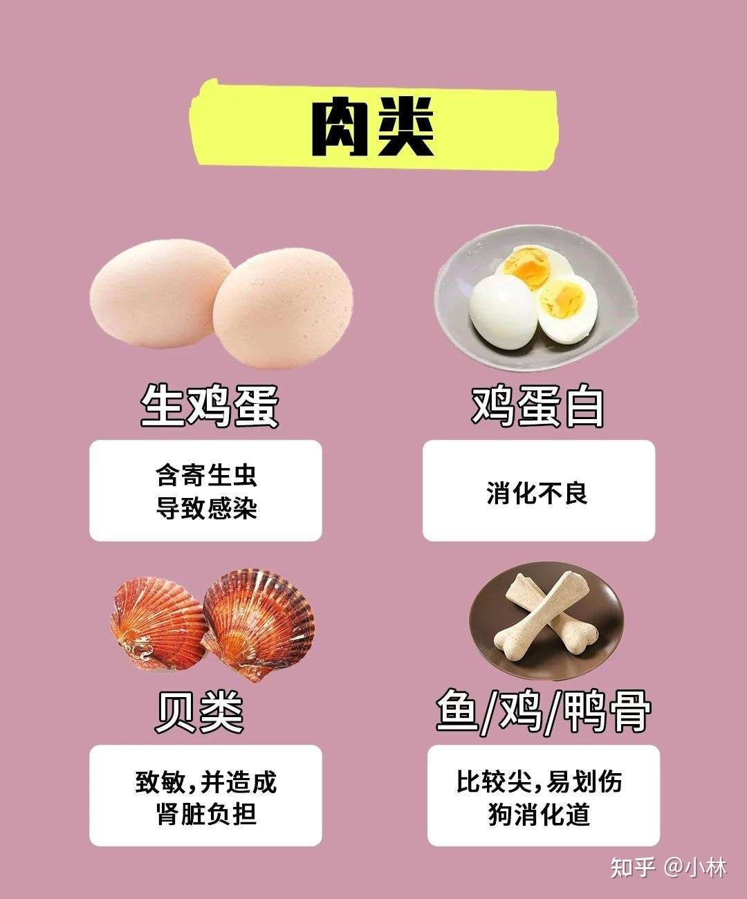 狗狗不能吃的食物 知乎