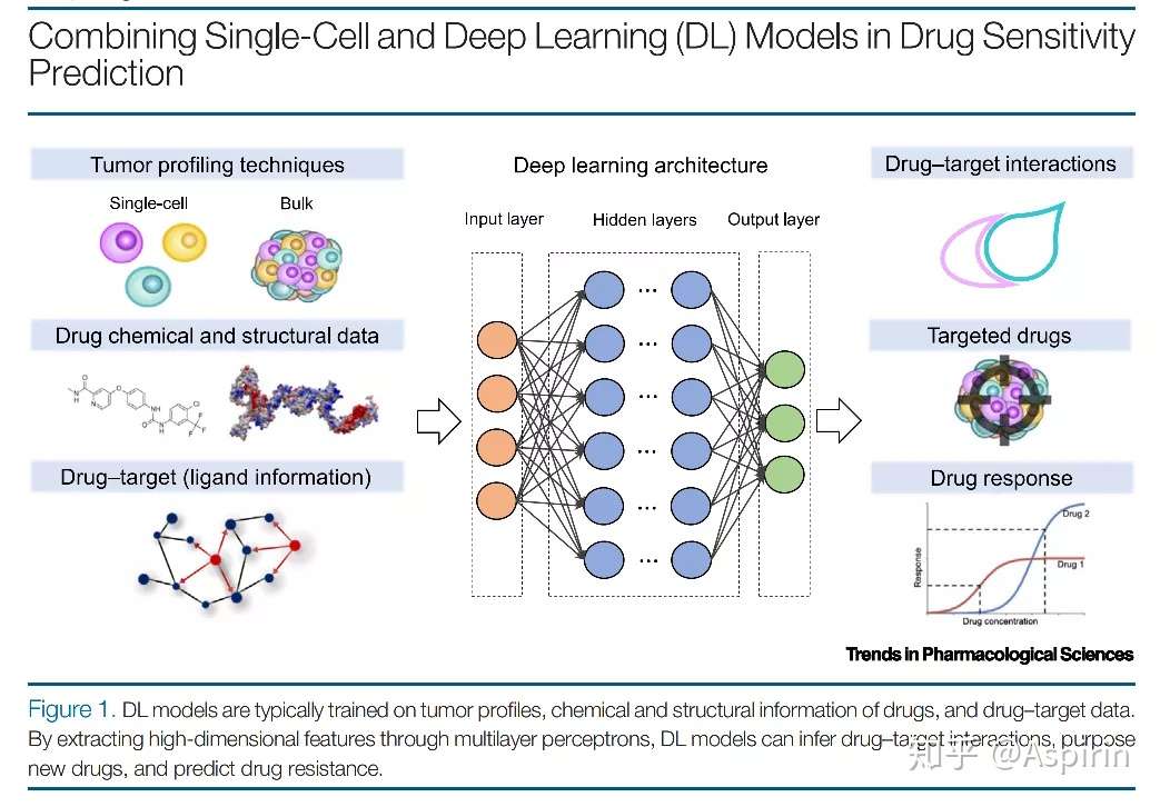 Cellpress 单细胞技术和基于深度学习的药物反应预测 知乎