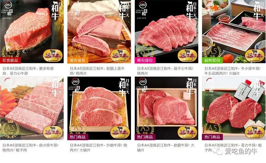 牛排部位详解 让你像屠夫一样熟知牛肉的终极指南 上 知乎