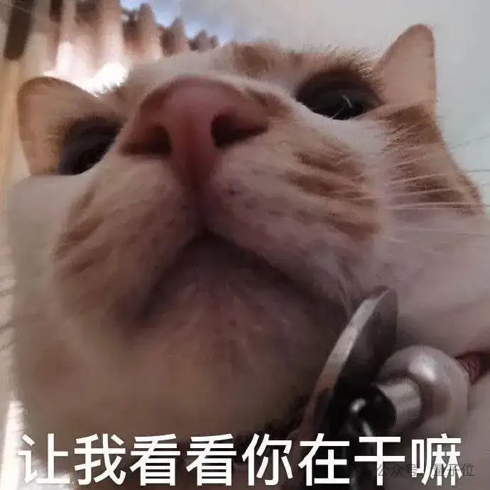 万万没想到，大学生都开始拿AI来养猪了