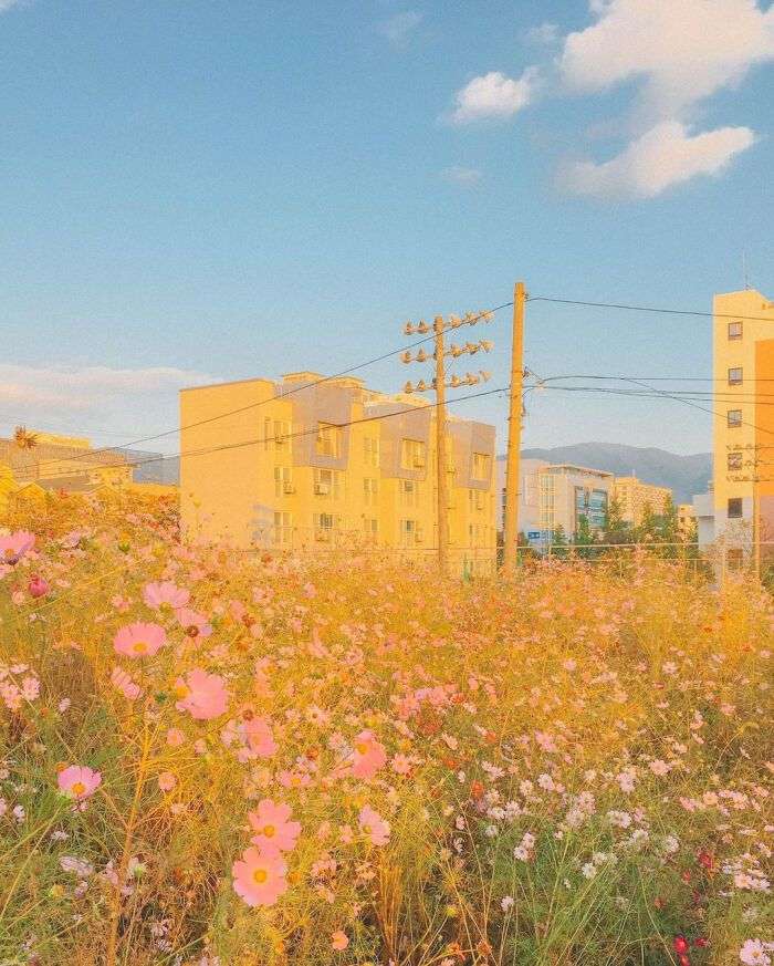 有没有让你觉得很浪漫的文案和充满爱意的文案~插图11 有没有让你觉得很浪漫的文案和充满爱意的文案~插图11