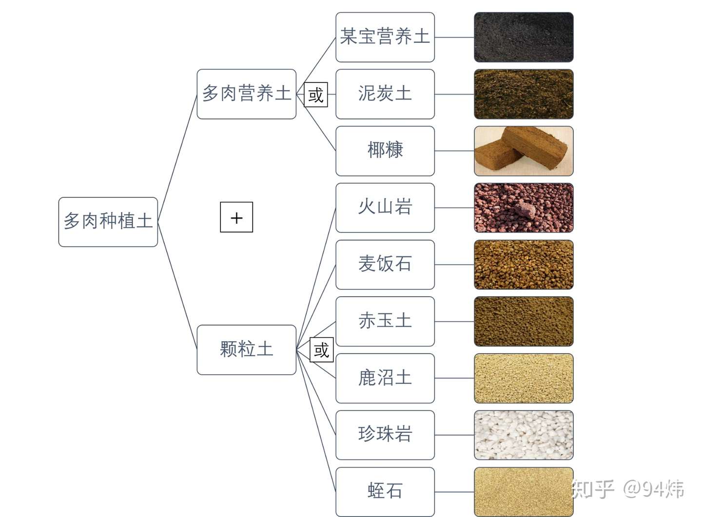 技巧篇 两张图教你学会多肉配土 知乎