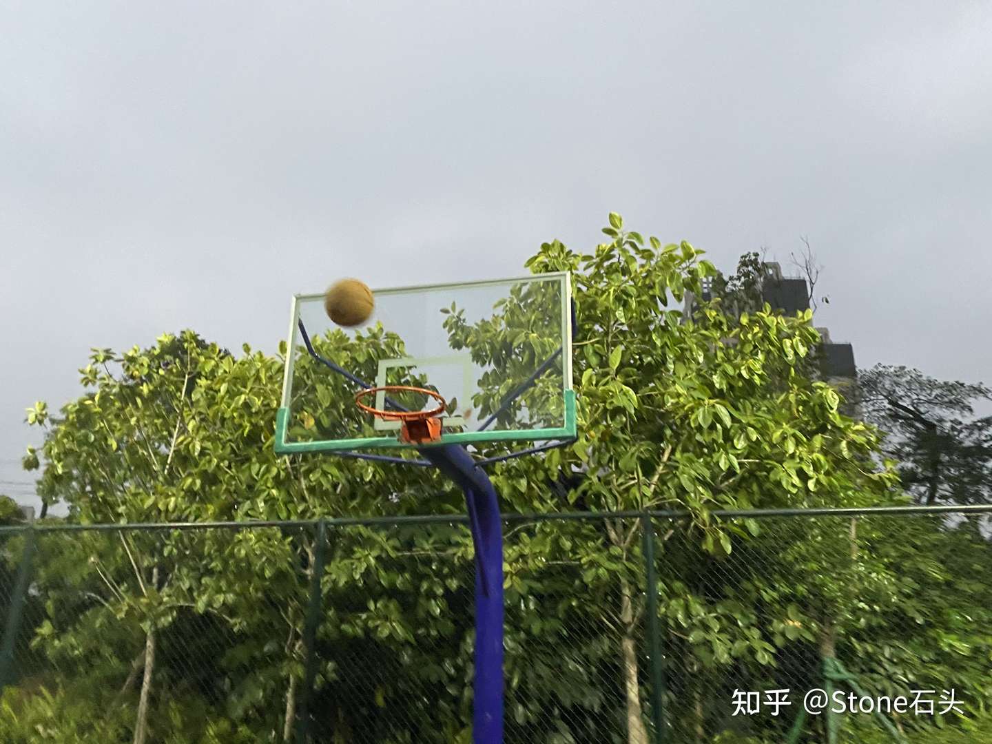 爸妈育儿 如何让孩子爱上写作 知乎