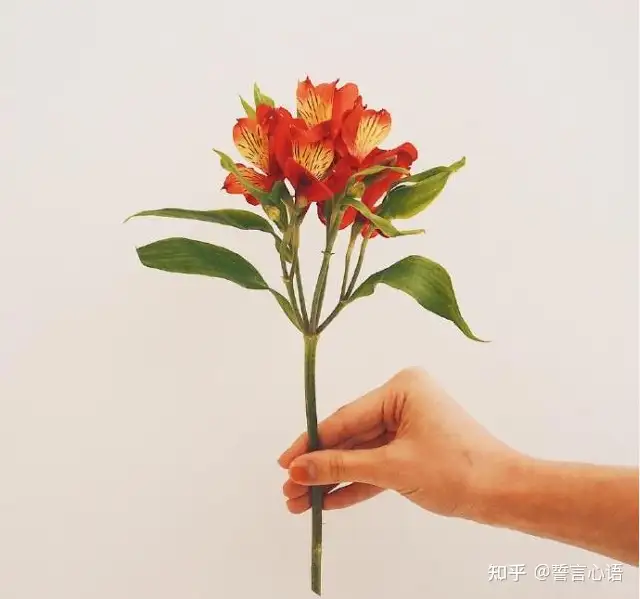 2021端午节祝福语，简短温馨，节日快乐！
