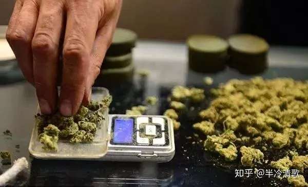 毒品圈的那些黑话 你了解多少 听到这些词语要远离了 知乎