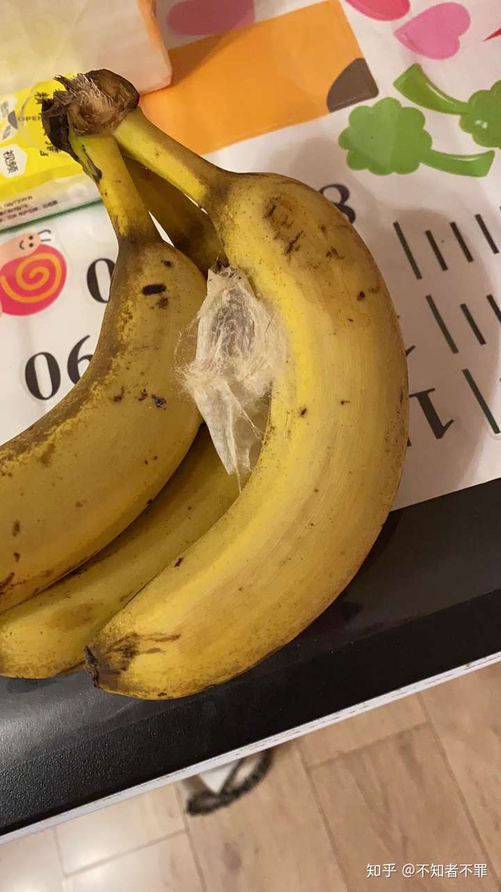 香蕉虫结的茧图片