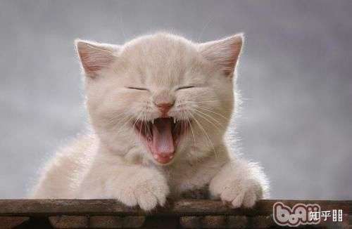 多久没有发自内心的笑?