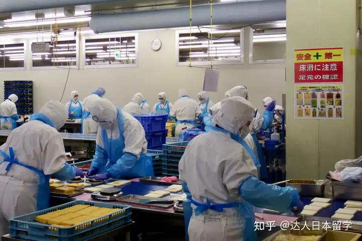 达人日本,日本留学