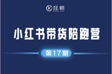 盗坤-小红书带货陪跑营17期2025年6月(价值1980元)_-就爱副业网