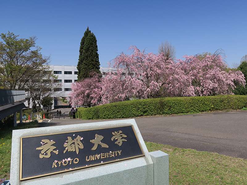 京都大学 知乎