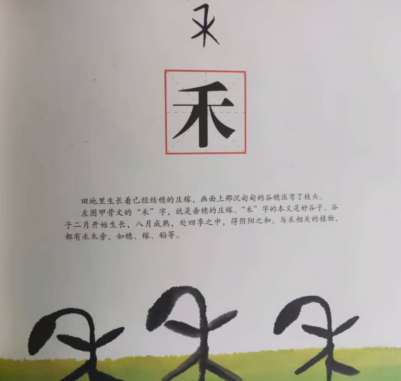 想让孩子对识字 上瘾 这套识字绘本值得加入你的购物清单 知乎