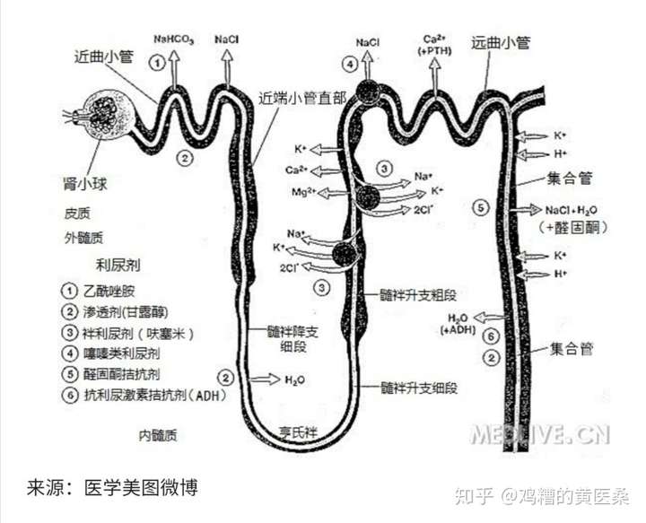 呋塞米螺内酯跟氢氯噻嗪三种可以一起联合使用么?  ?