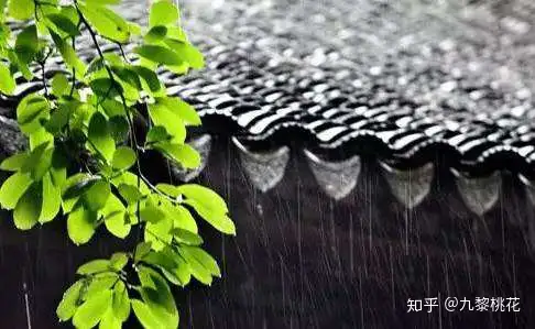 【节气】芒种最全的习俗知识，一起看看吧