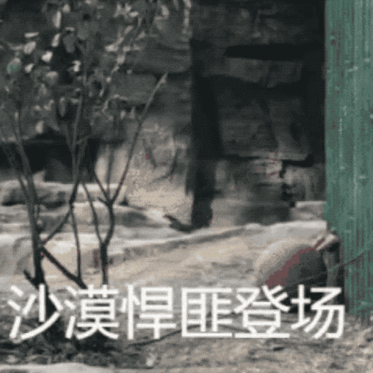 AI项链？OpenAI首款硬件爆料，乔布斯爱将操刀，“像iPod Shuffle一样优雅”