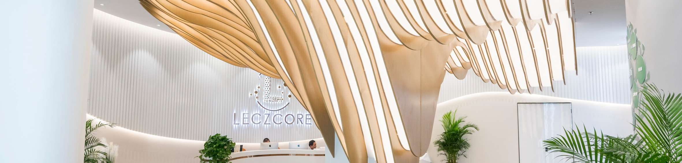 天津丽滋卡尔医院妇科副主任医师,妇产科资深专家.