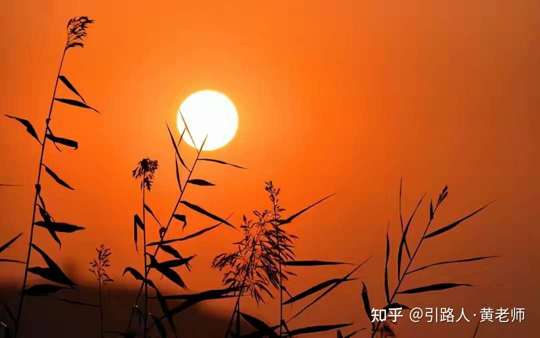 引路人·黃老師 的想法: 風雨人生自己跑, 時而心累無人曉 - 知乎