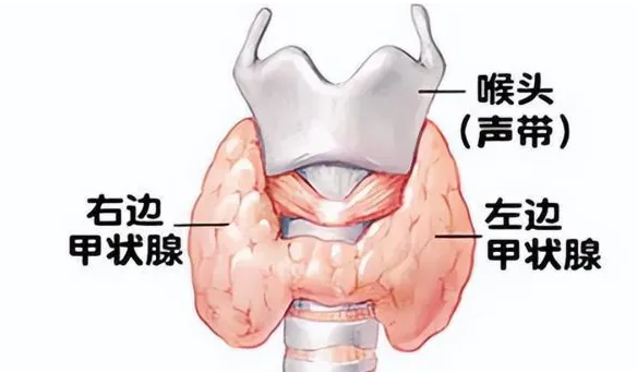 济南甲康医院怎么样_济南甲状腺哪个医生比较好？雷文峰医生查房关怀