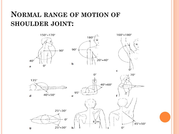 手把手教你肩部rom测量 肩部关节活动度的测量方法 肩关节活动度 (1)
