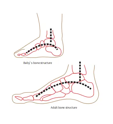 兒童腳和成人腳有哪些區別