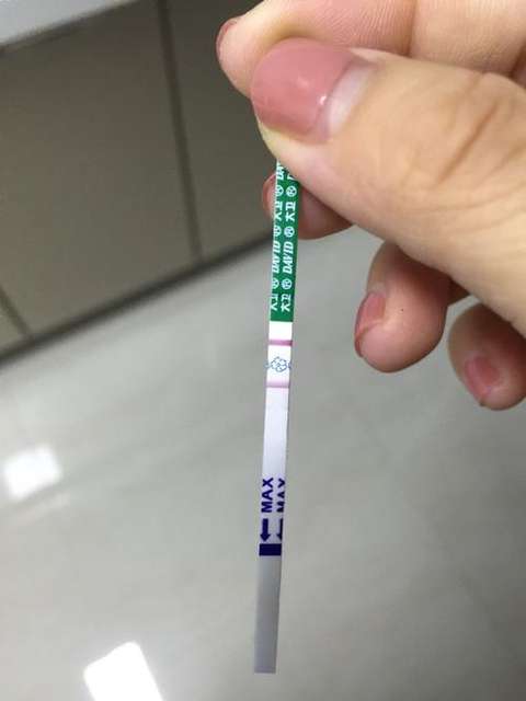 2,持试纸条将有箭头标志的一端浸入装有尿液的容器中,约有三秒钟后