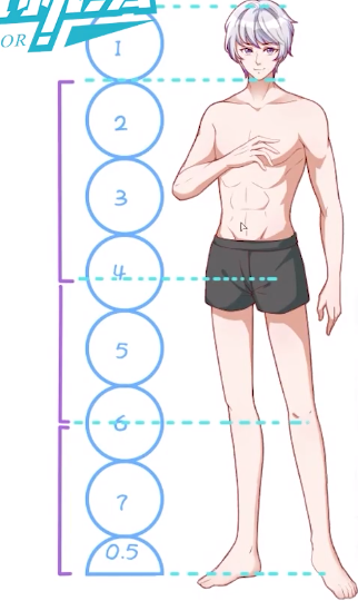 不知道怎么画人体比例帮绘画小白搞定头身比一看就绘