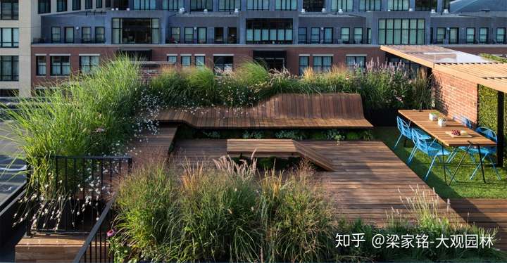 在总平面图阶段,怎么体现这样的丰富性? - 知乎