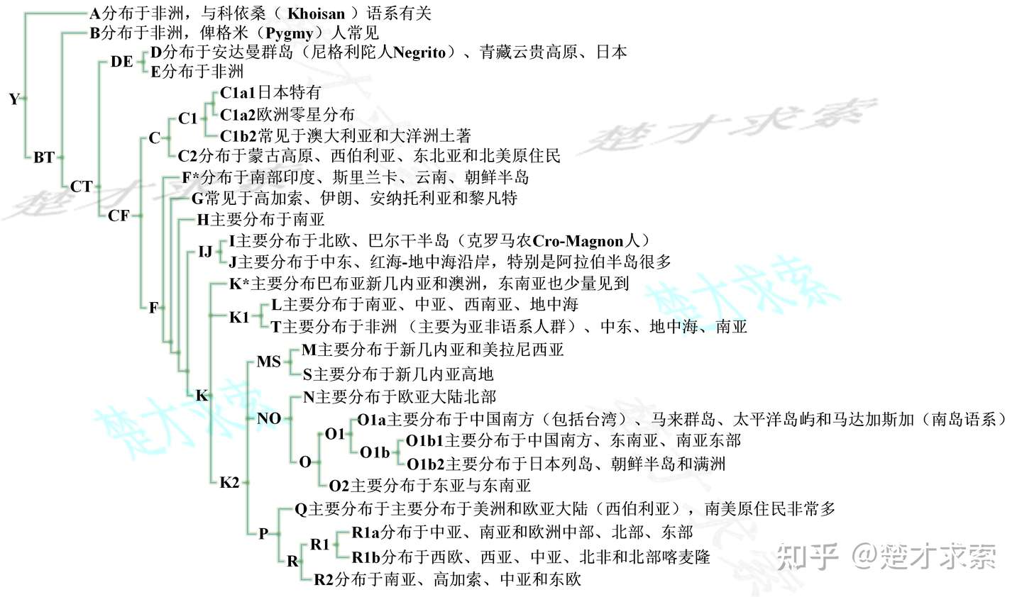 知乎专栏