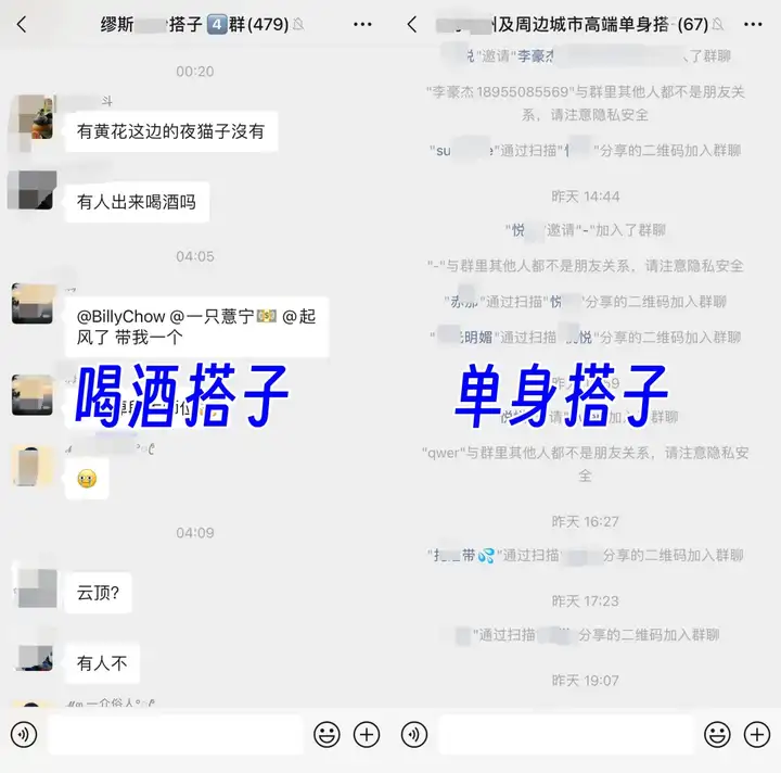 同城主题搭子群，变现30万-就爱副业网