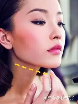 "下颌线"在哪里?