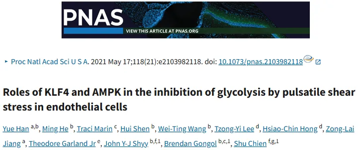 KLF4 和 AMPK 在內皮細胞中脈動切應力抑制糖酵解過程中的作用 KLF4 和 AMPK 在內皮細胞中脈動切應力抑制糖酵解過程中的作用