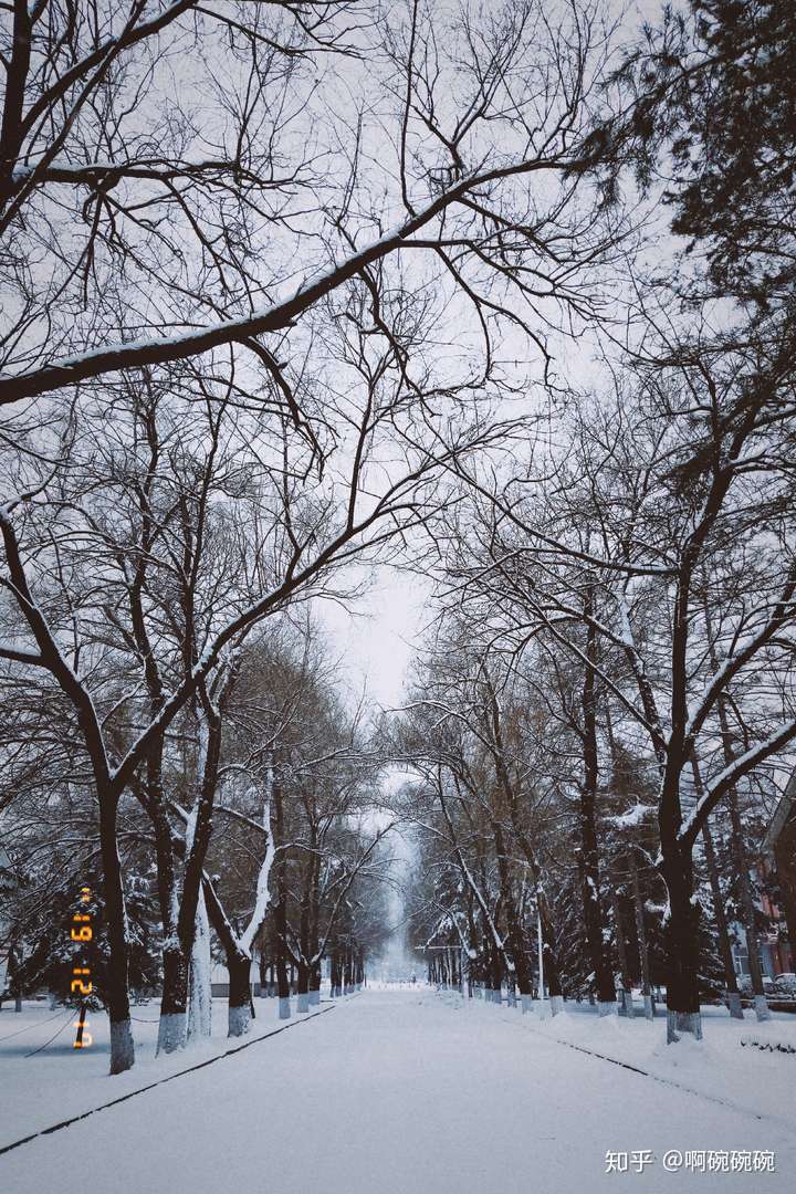 可否分享下雪的照片呢?